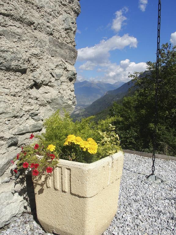 Appartement Raccard Cendré